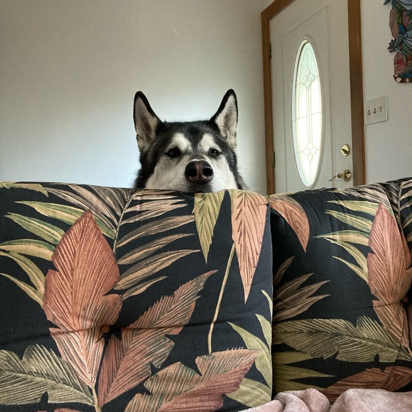 Meet your Posher, Denise - Picture 1 of 1